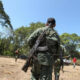 EEUU sacará a FARC de lista de grupos terroristas