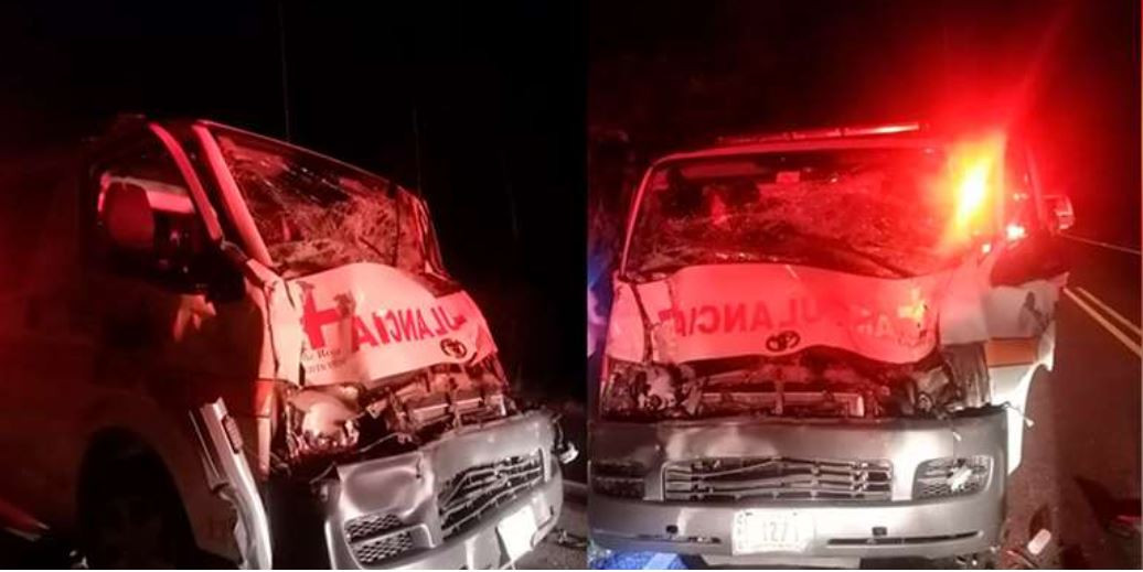 Fuerte colisión entre ambulancia y dos animales bovinos en Puntarenas